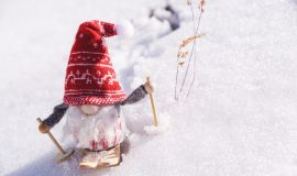 «Алтайская зимовка» на «Авальмане» – это бесплатные уроки с инструктором