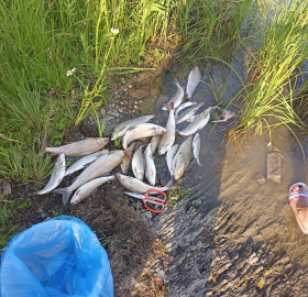 Рыбалка на Теньгинском озере - 12 ч